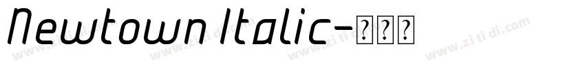 Newtown Italic字体转换 Newtown Italic字体转换